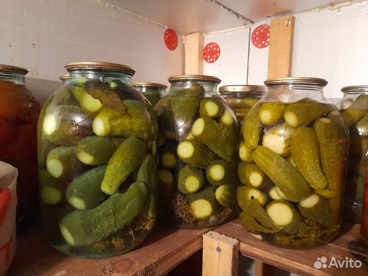 Огурцы маринованные