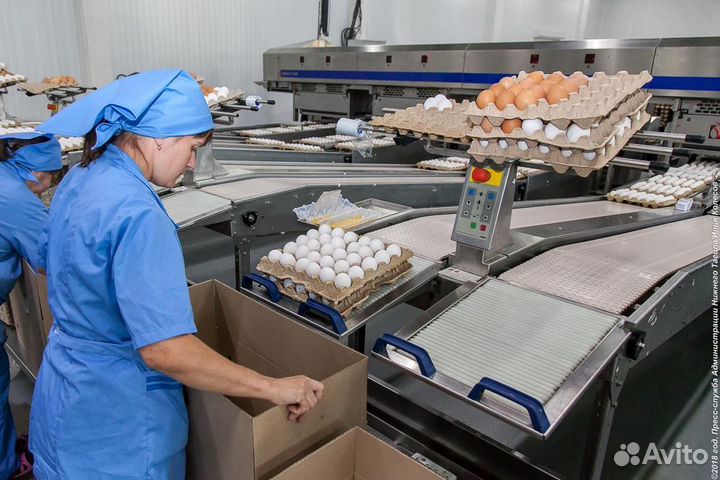 Вахта в Челябинске.Муж/Жен.Разнорабочие