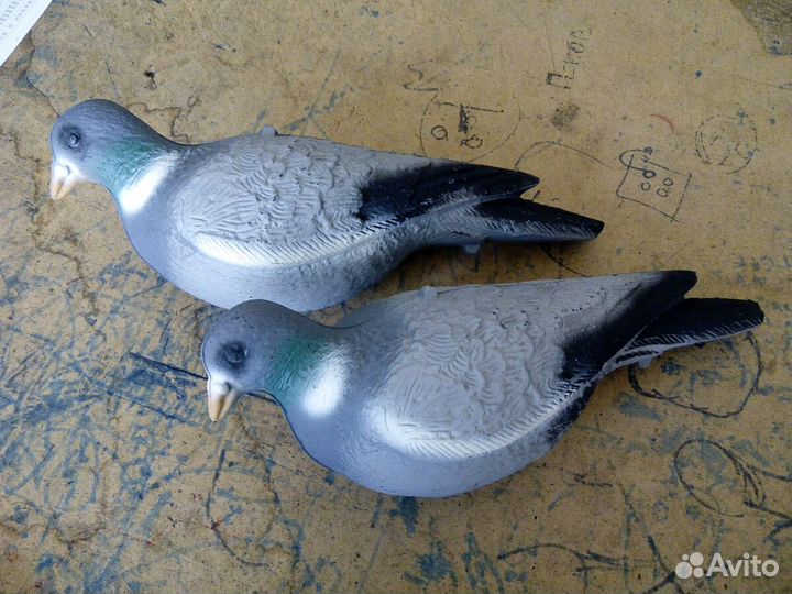 Голубь Вяхирь чучело для охоты