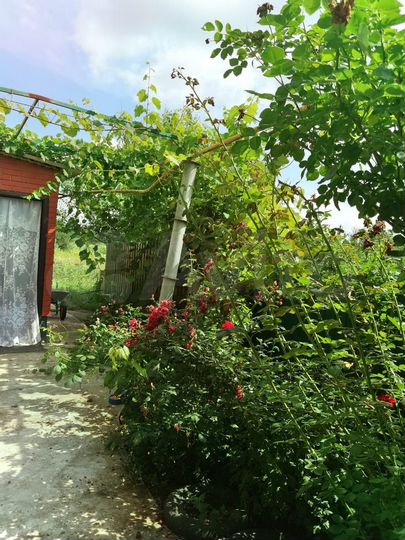 Дом 70 м² на участке 14 сот.