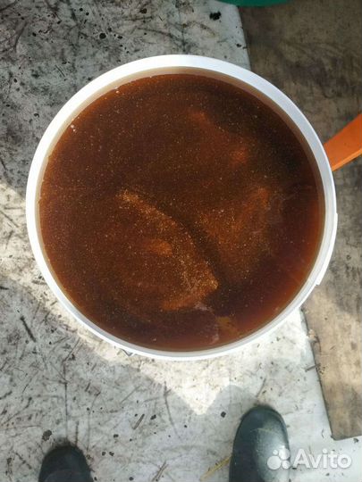 Мед со своей кочевой пасеки