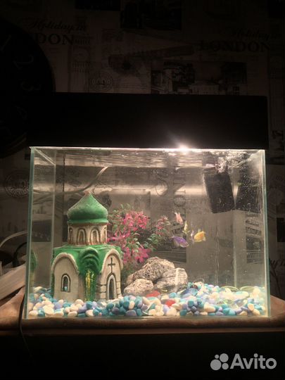 Аквариум