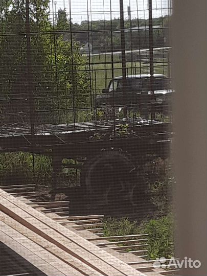 Прицеп пчеловоз, 1996