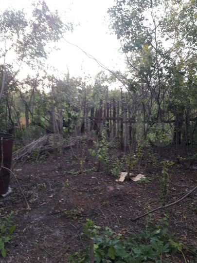 Участок 5 сот. (СНТ, ДНП)