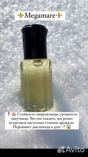 Megamare масленный