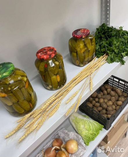 Металлический стеллаж для солений 500х1000х2000