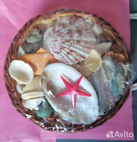 Набор ракушек