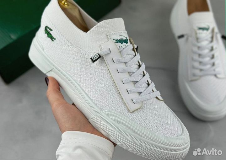 Мужские кеды Lacoste