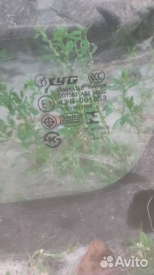 Продам лобовое стекло мазда титан 2000г