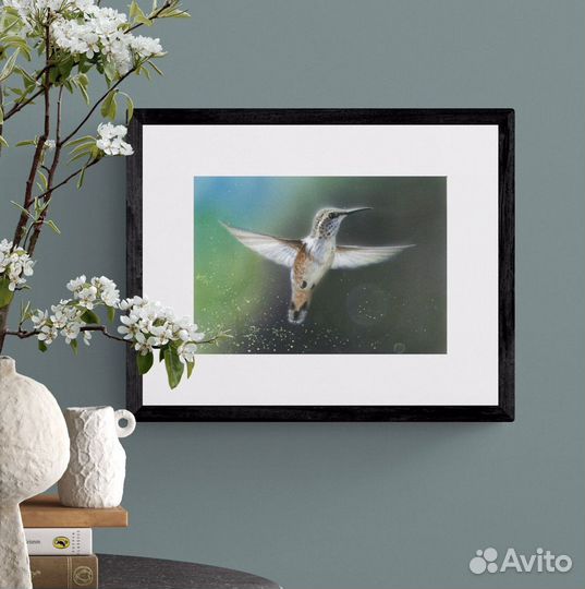 Картина акварель «Колибри»