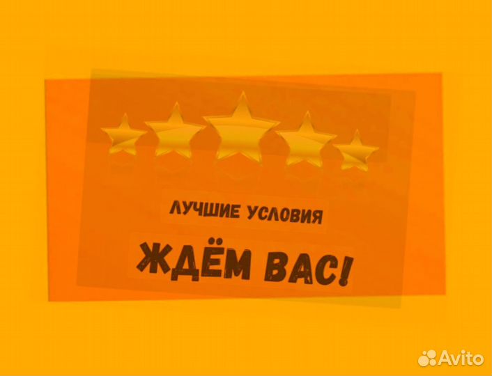 Наборщик заказов Без опыта Еженедельные выплаты