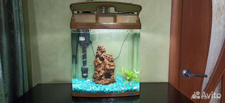 Аквариум