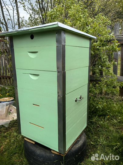 Пчелиный улей