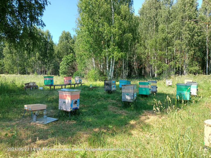 Участок 15 сот. (ИЖС)