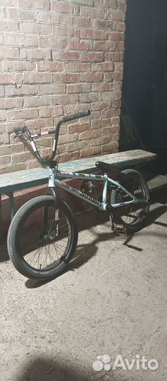 BMX sunday primer 2022