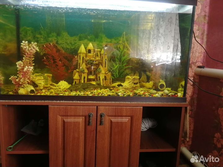 Аквариум