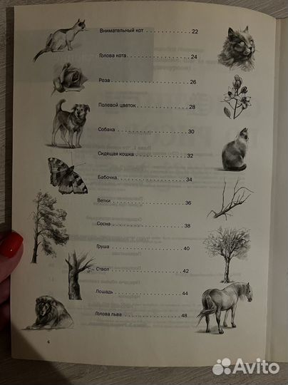 Самоучитель по рисованию