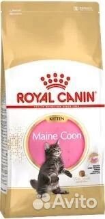 Maine Coon Kitten, Royal Canin, 2000 g