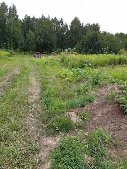 Участок 14 сот. (СНТ, ДНП)