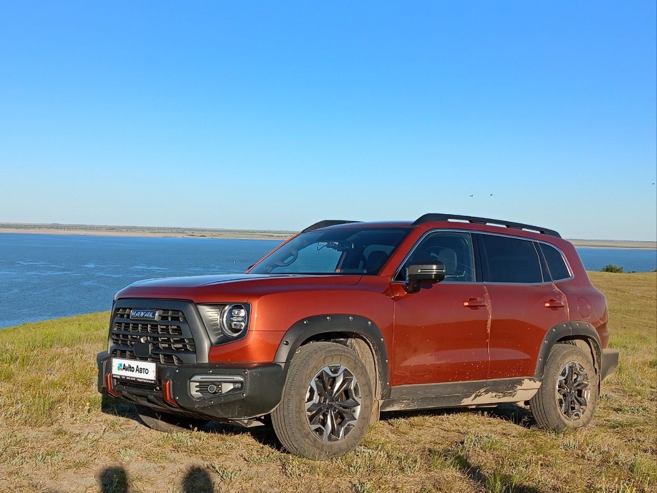 HAVAL Dargo X: фото владельца