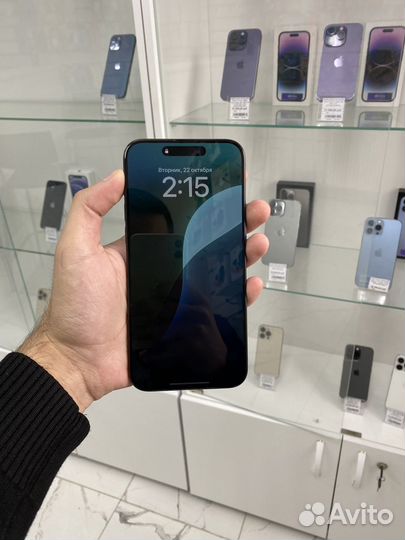 iPhone 15 Pro Max, 256 ГБ