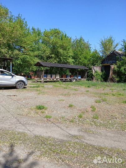 Платформа для пчел