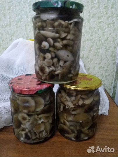 Маринованые грибы опята,маслята