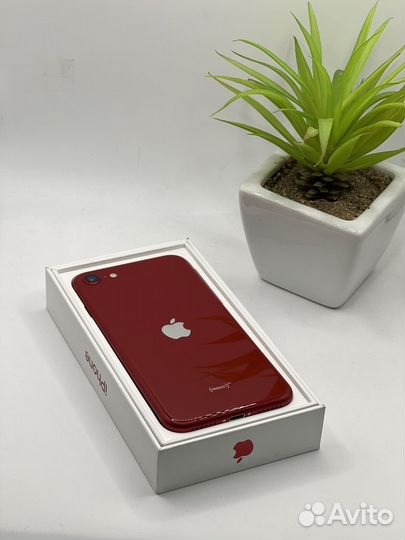 iPhone SE (2022), 128 ГБ