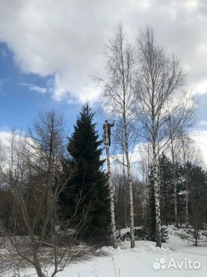 Благоустройство участка