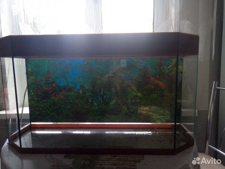 Аквариум