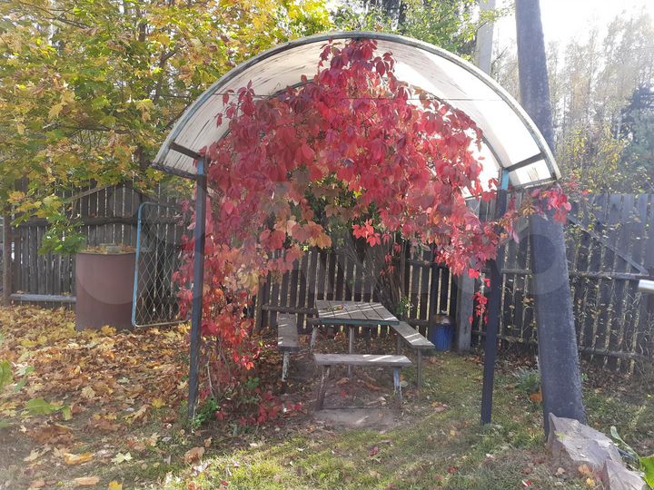 Дача 20 м² на участке 11,6 сот.