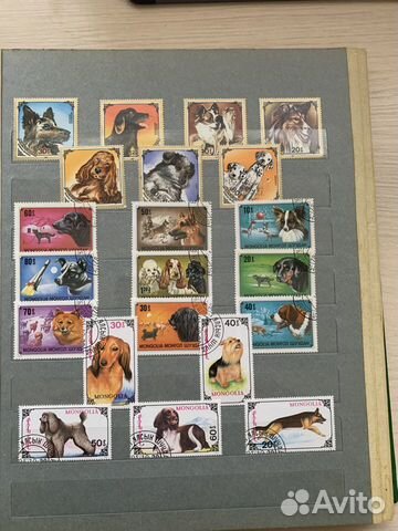 Почтовые марки собаки объявление продам