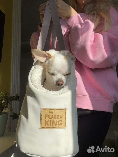 Cумка переноска для собак мелких пород