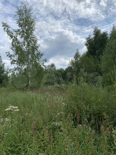 Участок 6 сот. (СНТ, ДНП)