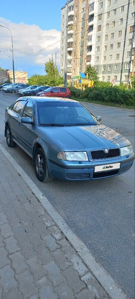 Skoda Octavia: фото владельца