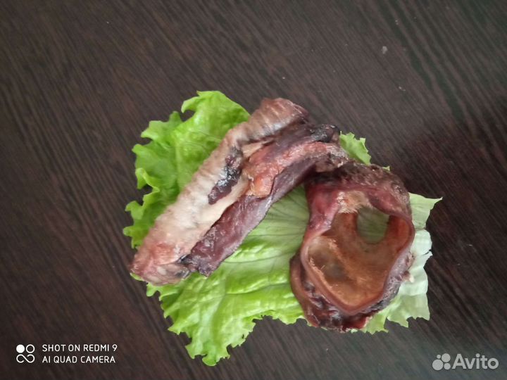 Лакомства для собак