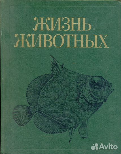 Жизнь животных