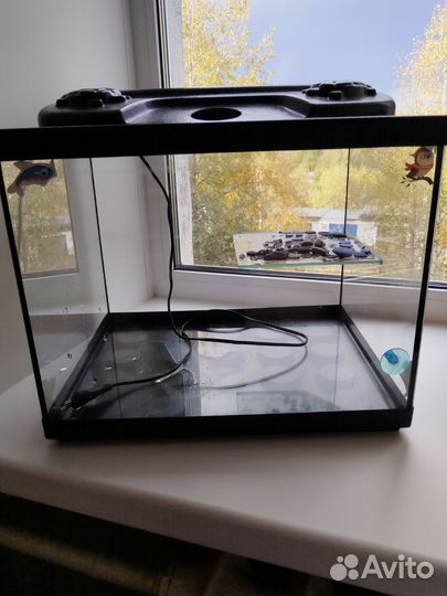 Аквариум