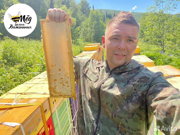 Мёд башкирский свежий. Собственная пасека