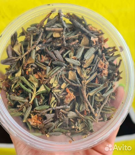 Саган дайля