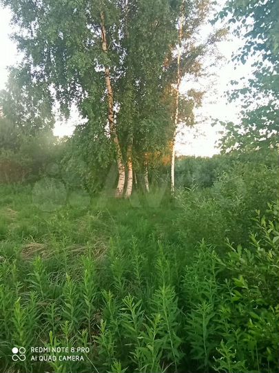 Участок 11 сот. (СНТ, ДНП)