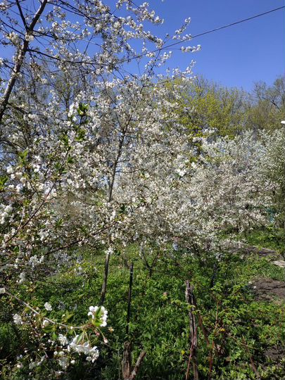 Дом 68 м² на участке 14,4 сот.