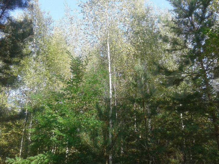 Участок 30 сот. (СНТ, ДНП)