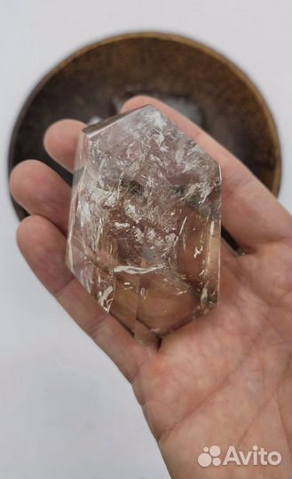 Большой аммонит из септария