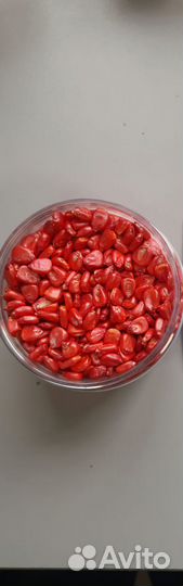 Семена кукурузы гибриды