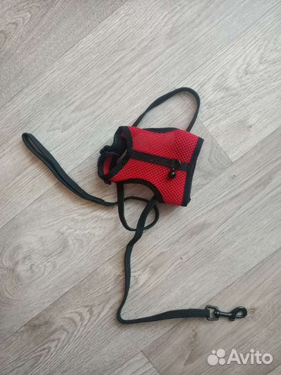 Шлейка для хорька