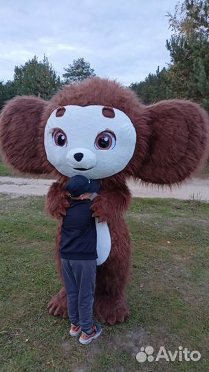 Поздравление бурого медведя