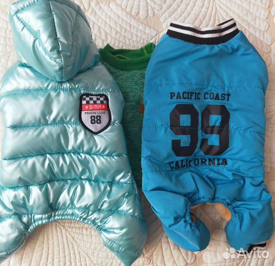 Одежда для маленькой собачки