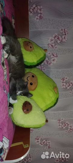 Детские игрушки