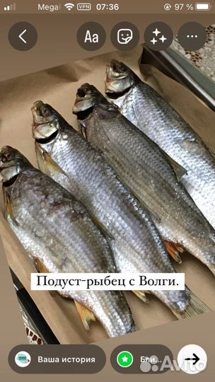 Цимлянская рыбка (вялка)